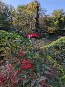 J’ai retrouvé un petit morceau du Japon à Toulouse : le Jardin Japonais Pierre-Baudis