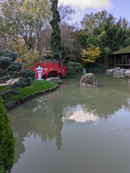 Pont rouge sur le lac avec des carpes koï au Jardin Japonais de Toulouse